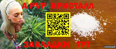 индика Изобильный