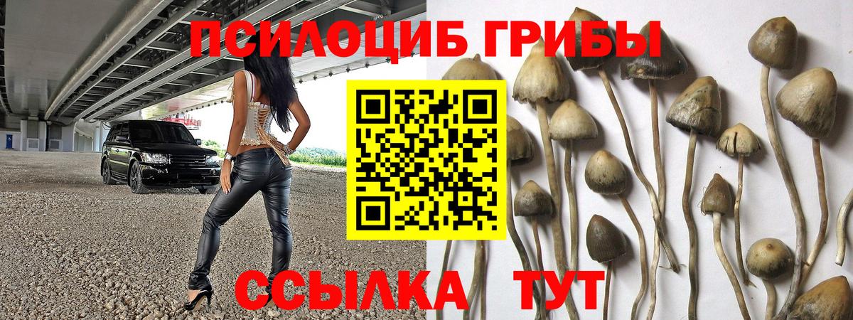 Галлюциногенные грибы GOLDEN TEACHER  Вход с VPN  Россия 